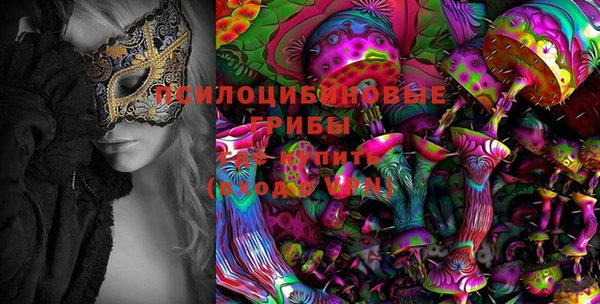 МДПВ Алзамай