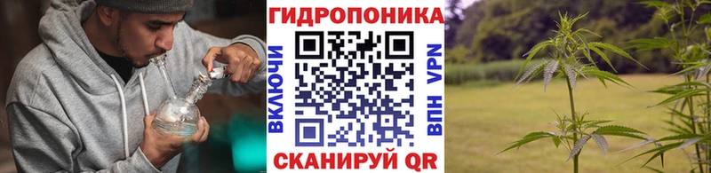 Канабис план наркотики Ликино-Дулёво